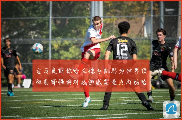 吉马良斯称哈兰德与凯恩为世界顶级前锋强调对战挪威需重点盯防哈兰德